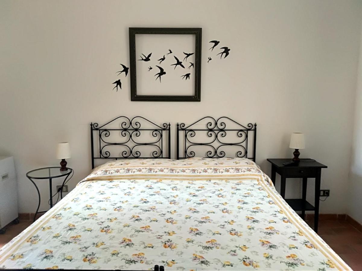 Agriturismo La Collina Toscana Pieve a Maiano Экстерьер фото